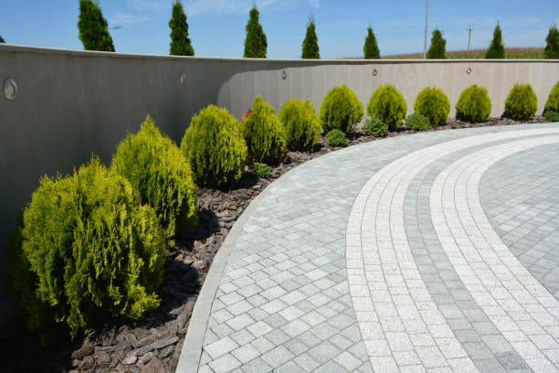 Best Driveway Resurfacing Pavers  in Wahoo, NE